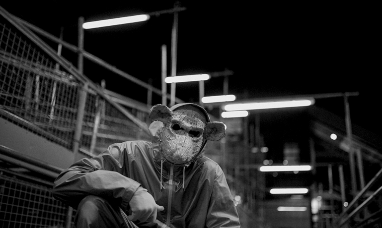 Tobacco Rat